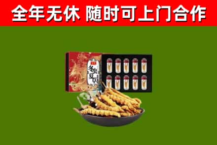 大足烟酒回收冬虫夏草礼盒.jpg